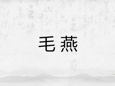 毛燕