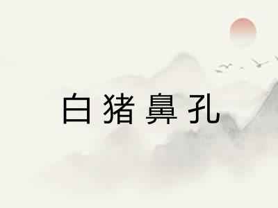 白猪鼻孔 白猪鼻孔