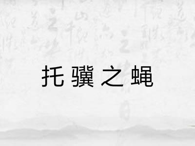托骥之蝇 托骥之蝇
