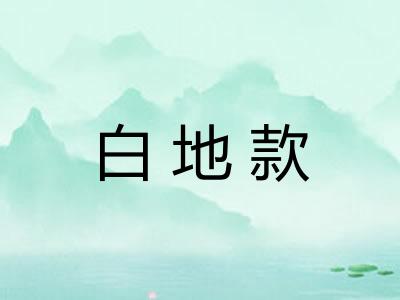 白地款 白地款