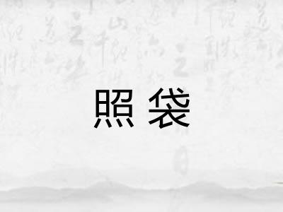 照袋 照袋