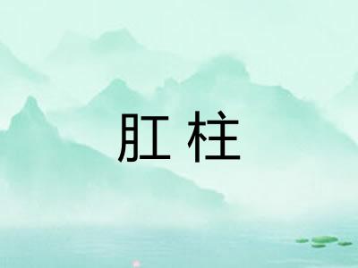 肛柱