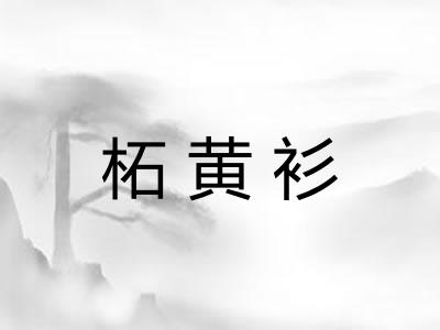 柘黄衫