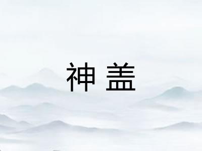 神盖