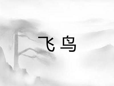 飞鸟