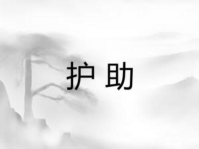 护助