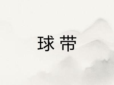 球带