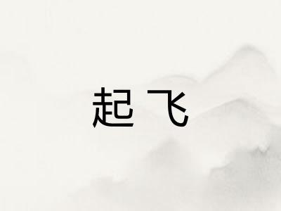 起飞 起飞