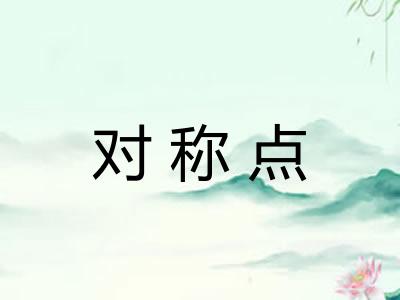 对称点