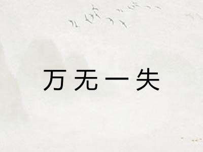 万无一失 万无一失