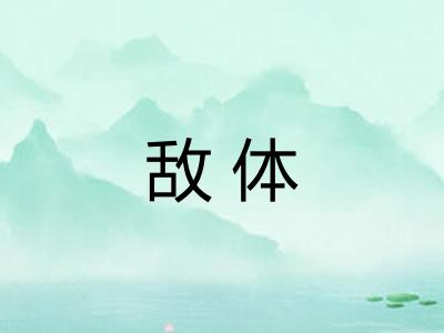 敌体