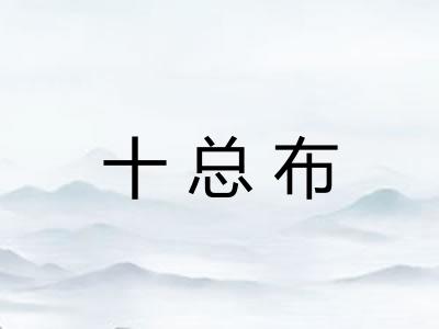十总布 十总布
