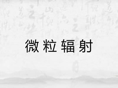 微粒辐射 微粒辐射
