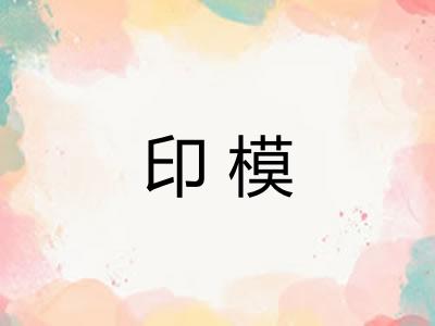 印模