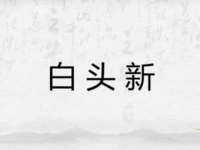 白头新 白头新