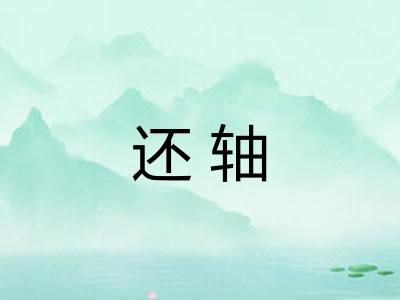 还轴