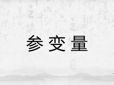 参变量 参变量