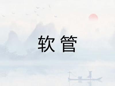 软管 软管
