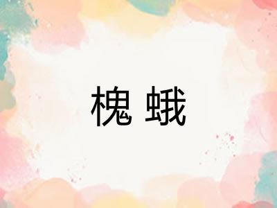 槐蛾