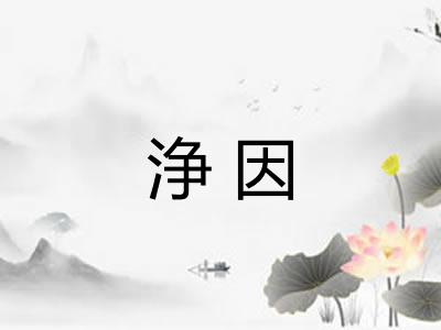 浄因