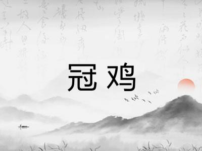 冠鸡