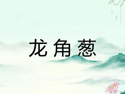 龙角葱