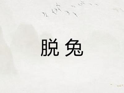 脱兔