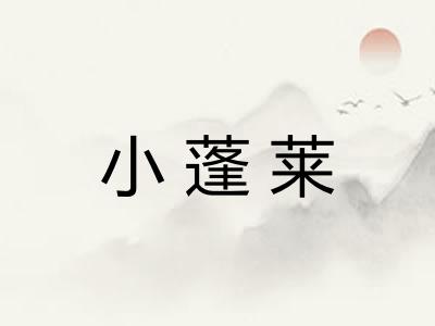 小蓬莱