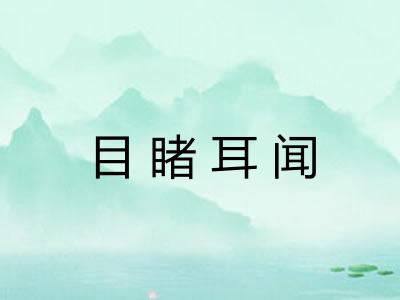 目睹耳闻 目睹耳闻