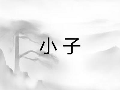 小子 小子