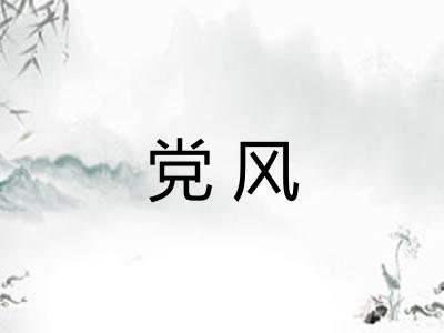 党风 党风