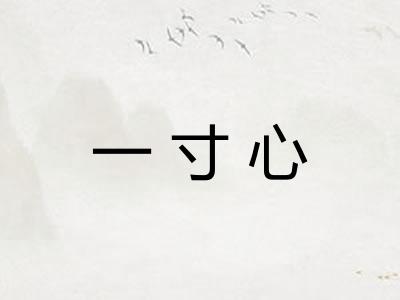 一寸心