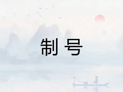 制号