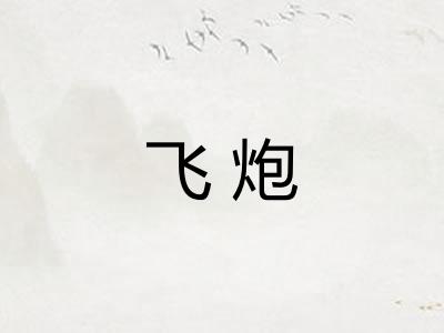 飞炮