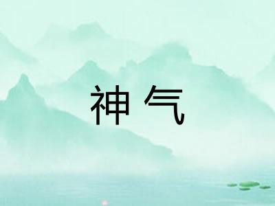 神气 神气