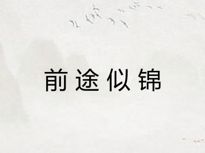 前途似锦 前途似锦