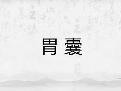 胃囊