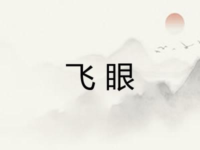 飞眼