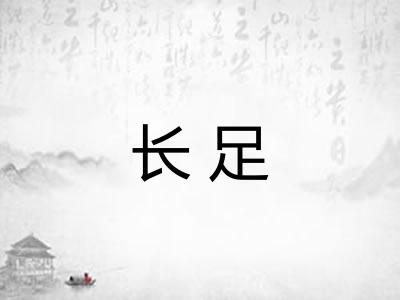 长足 长足