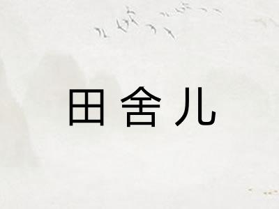 田舍儿