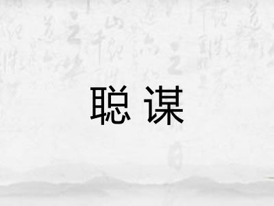 聪谋