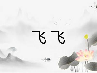 飞飞 飞飞