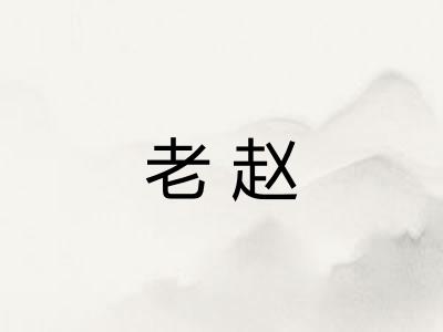 老赵