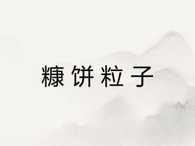 糠饼粒子 糠饼粒子