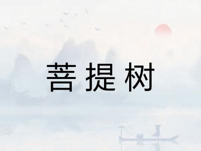 菩提树 菩提树