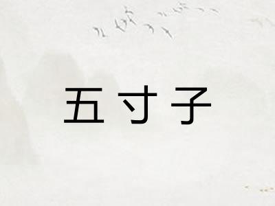 五寸子 五寸子