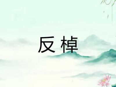 反棹 反棹