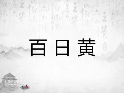 百日黄
