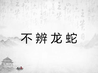 不辨龙蛇