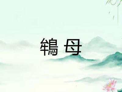 鴾母